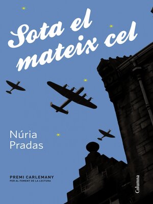 cover image of Sota el mateix cel